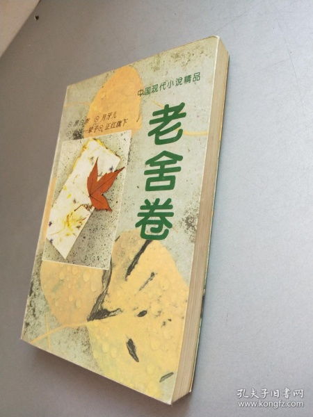 中国现代小说精品.老舍卷