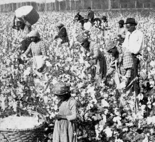一个 卖猪仔 突然人间蒸发,世界找了100年,他究竟是何方神圣