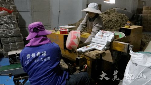 十年常怀感恩之心 致富不忘乡亲群众 访贵州省劳动模范潘文春