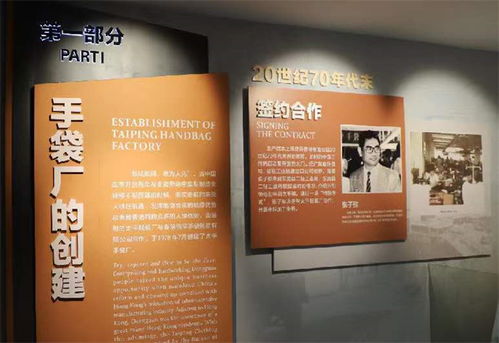 直播大湾区 走进东莞 全景式展现东莞城市魅力