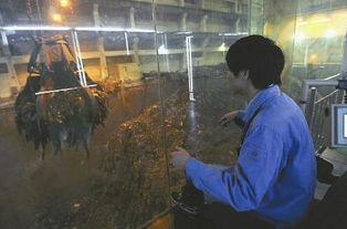 垃圾量10年翻倍 处理厂 消化不良