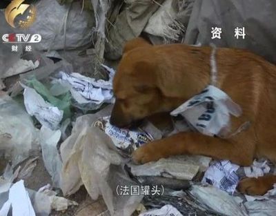故事中国社区 - 中国遭万亿吨剧毒洋垃圾围城 工厂附近鱼虾死绝