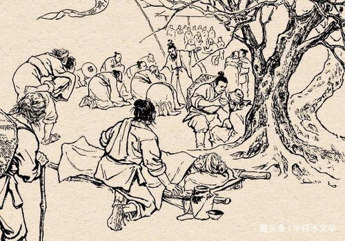 民间故事 猛汉丢下病母去兵营显本事,当了逃兵病母身亡是否值得