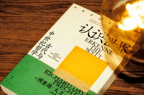 新书来啦